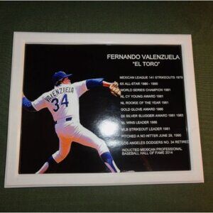 8x10 FRAMED LOS ANGELES DODGERS FERNANDO VALENZUELA LIFETIME STATISTICS PHOTO
